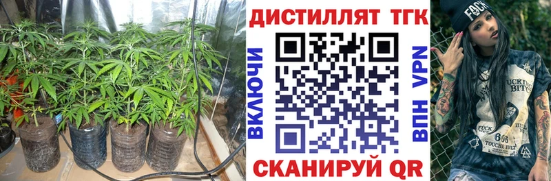 Дистиллят ТГК жижа  MEGA маркетплейс  Гаврилов Посад 